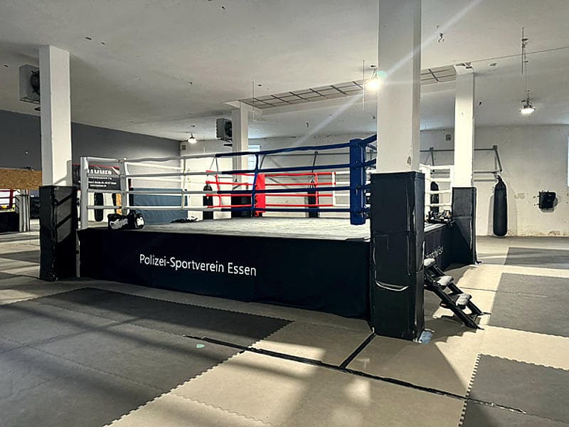 Trainingsflaeche in einer modernen Kampfsporthalle